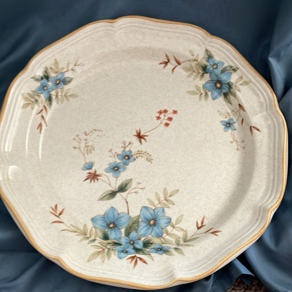 Mikasa: Garden Club DAY DREAMS (EC 461) Dinner Plates- lot of 2- 10 3/4" length - Picture 8 of 15